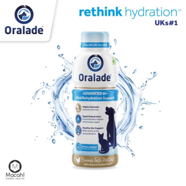 ORALADE GI izotoninis gėrimas 500ml
