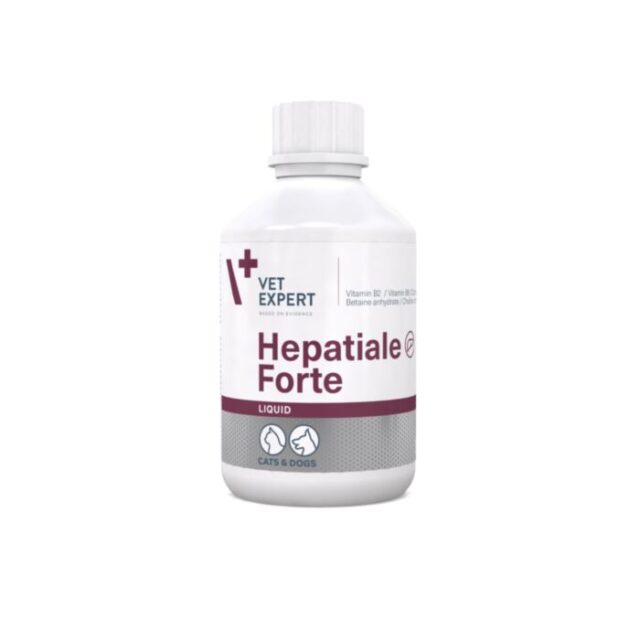 HEPATIALE FORTE Liquid 250ml