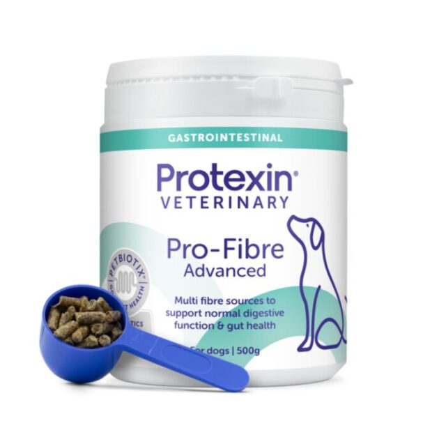 PROTEXIN PRO-FIBRE ADVANCED for dogs 500g